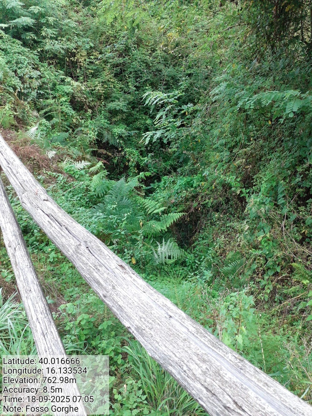 Galleria Fotografica Immagine