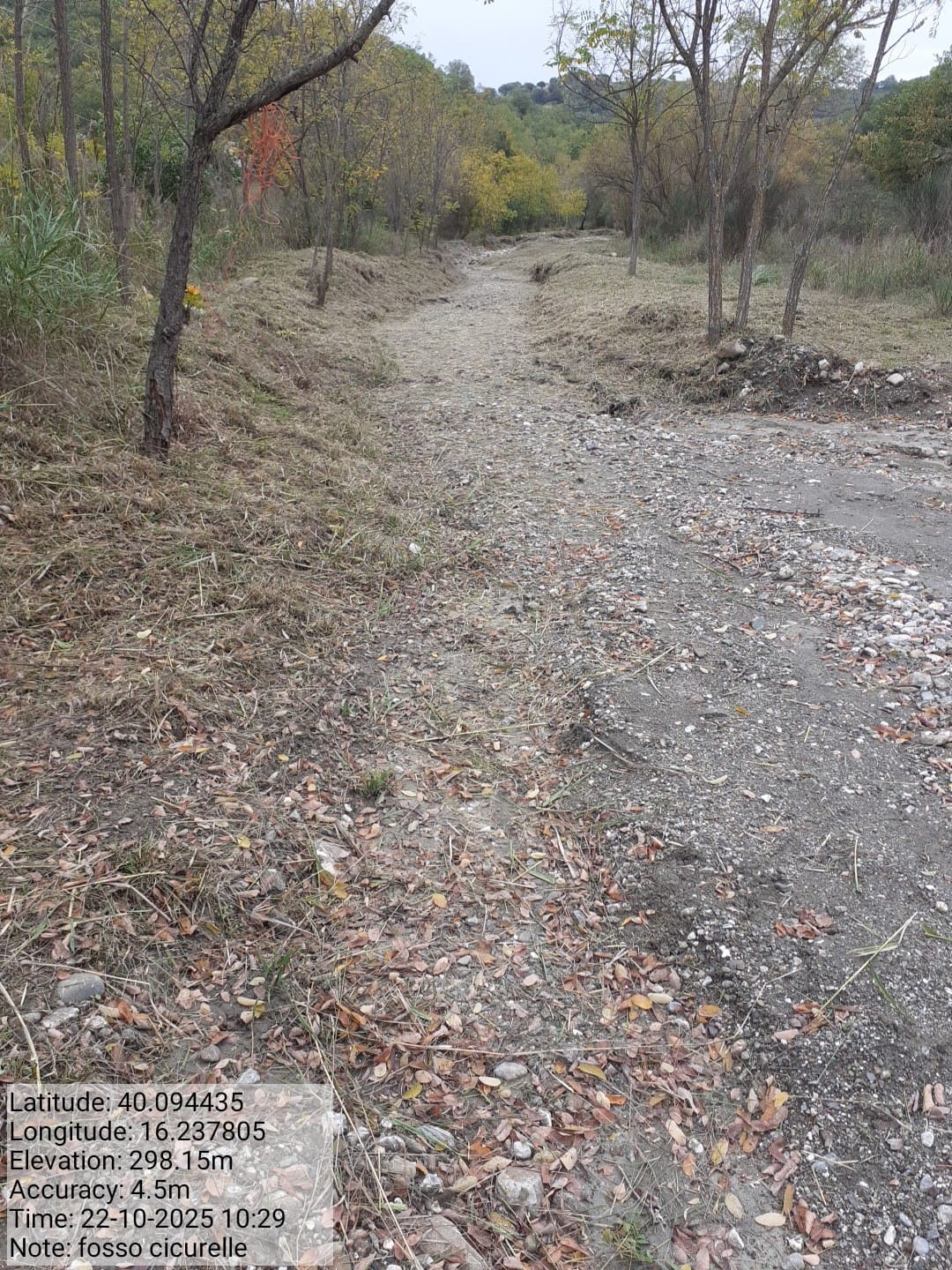 Galleria Fotografica Immagine