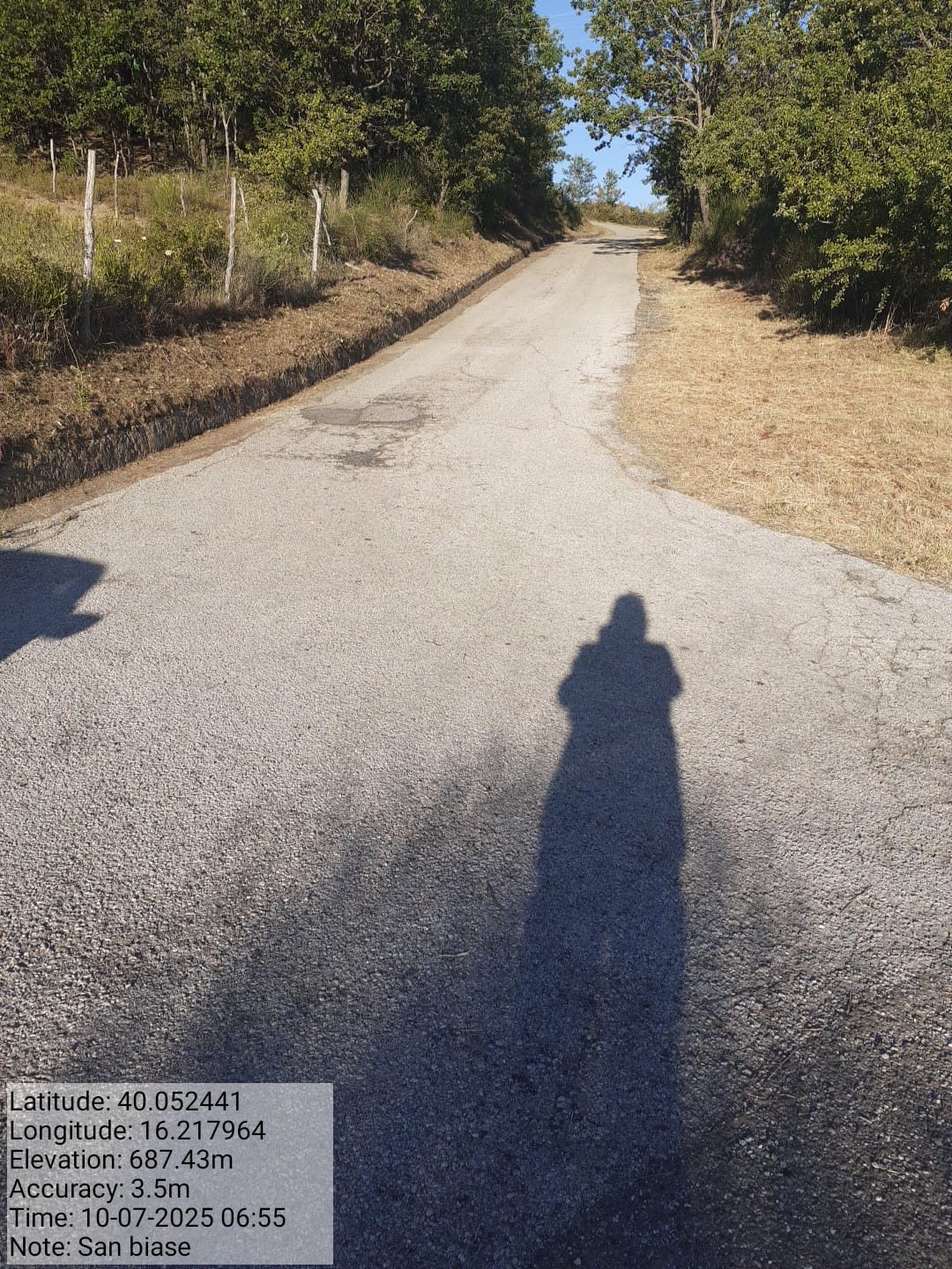 Galleria Fotografica Immagine