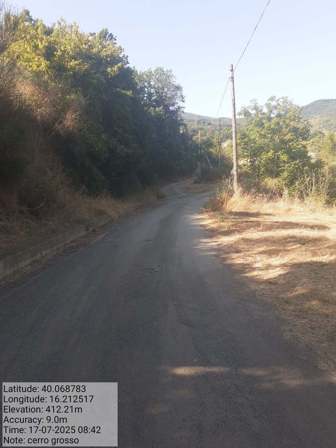 Galleria Fotografica Immagine