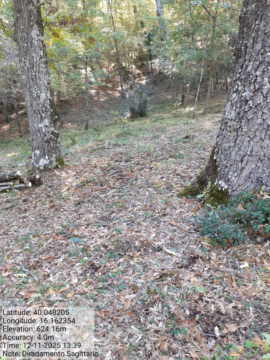 Galleria Fotografica Immagine