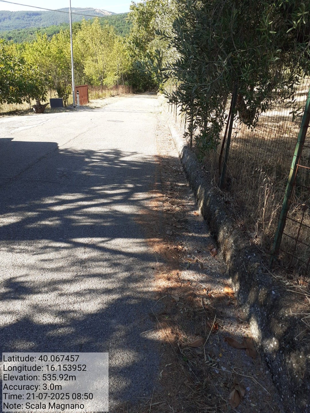 Galleria Fotografica Immagine