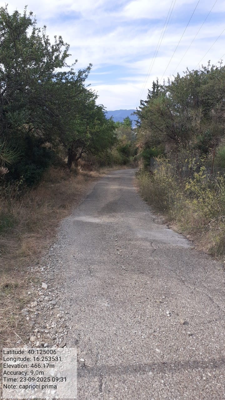 Galleria Fotografica Immagine