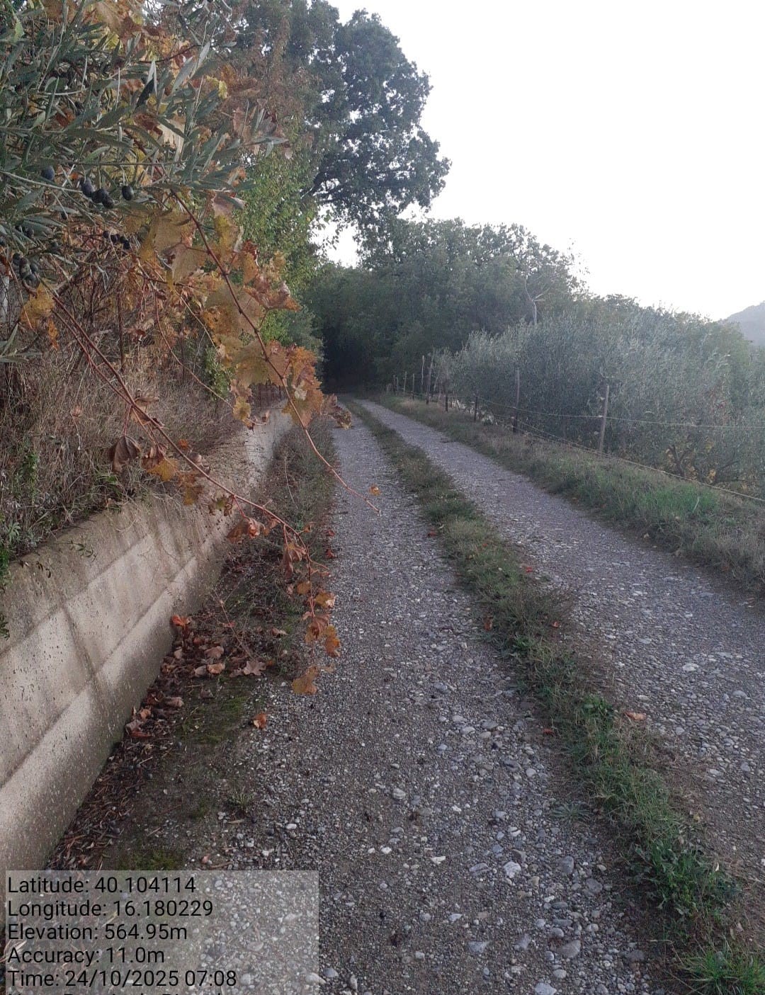 Galleria Fotografica Immagine