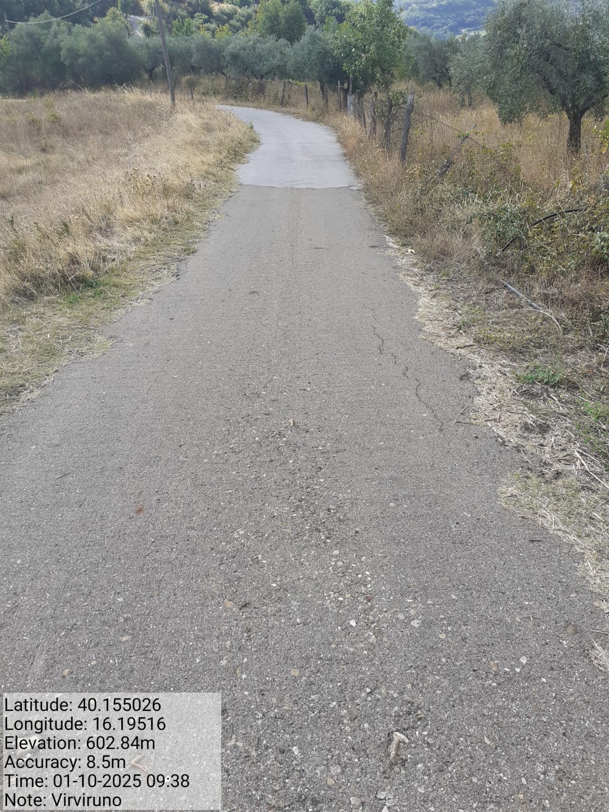 Galleria Fotografica Immagine