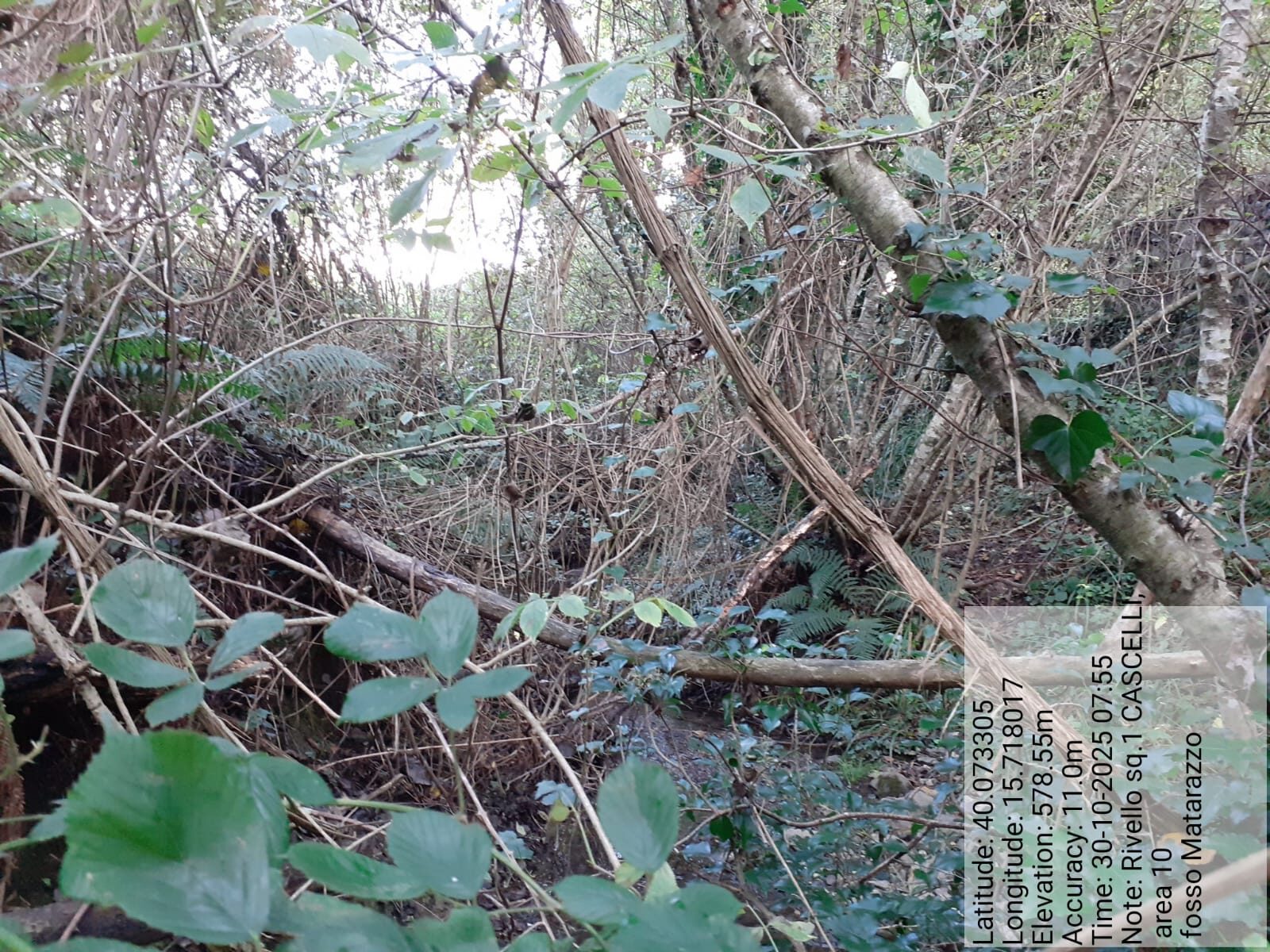 Galleria Fotografica Immagine