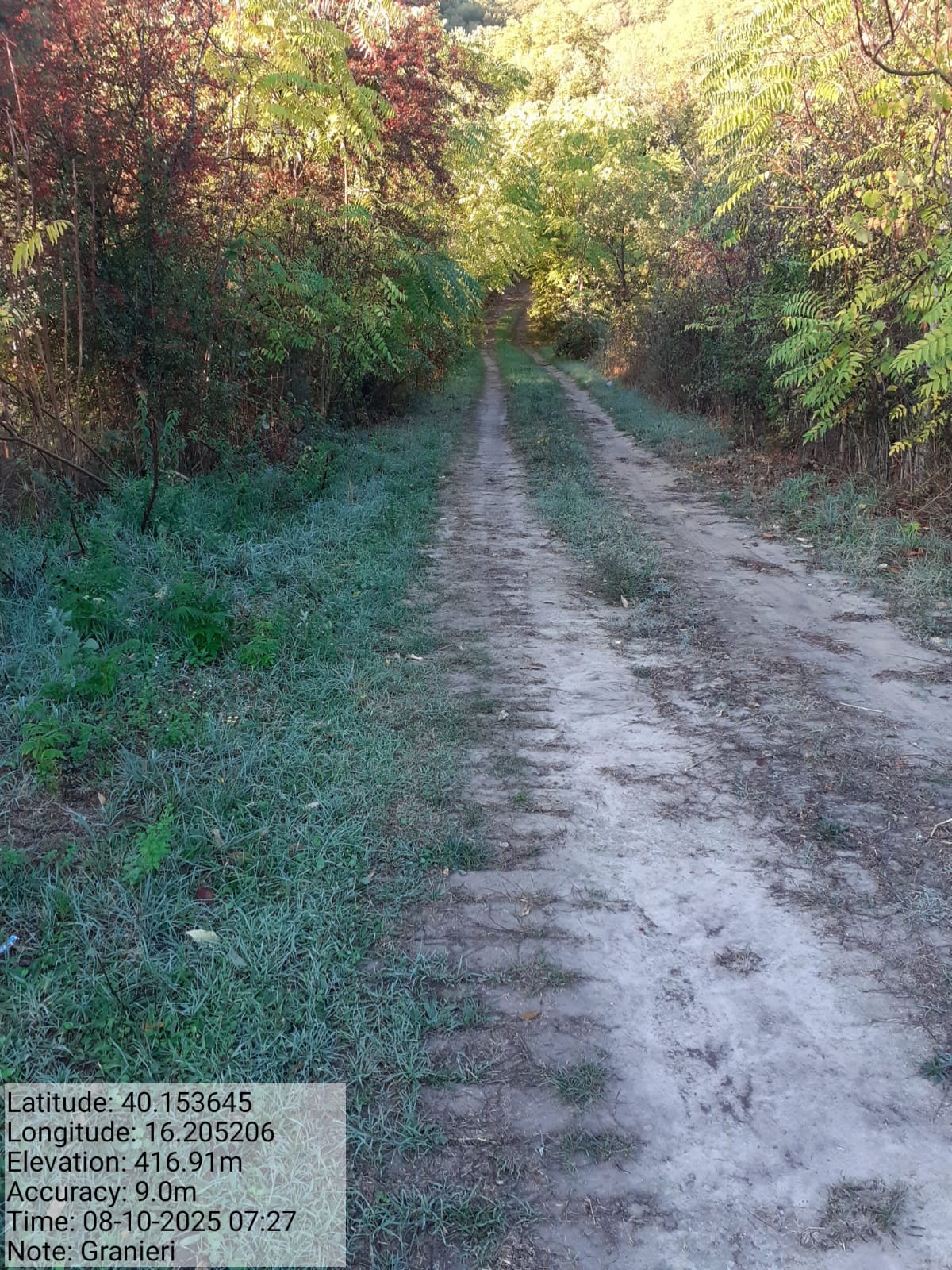 Galleria Fotografica Immagine