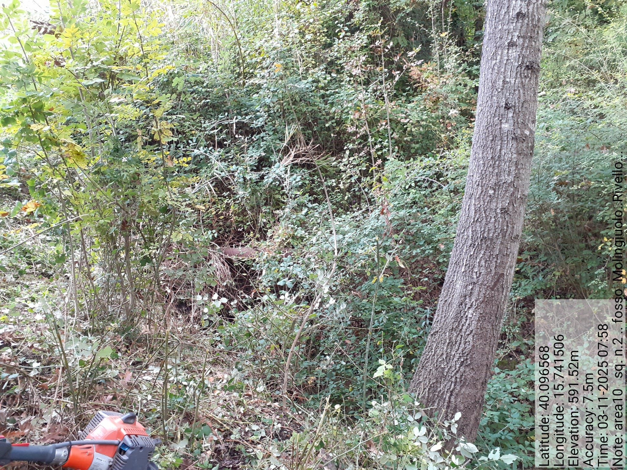 Galleria Fotografica Immagine