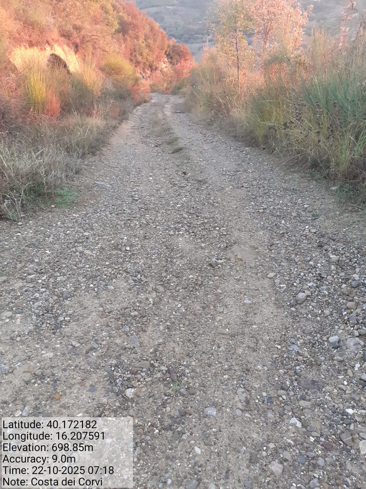 Galleria Fotografica Immagine