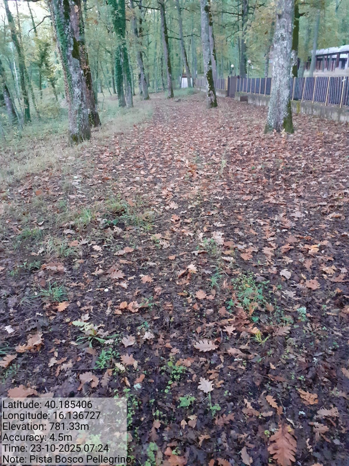 Galleria Fotografica Immagine