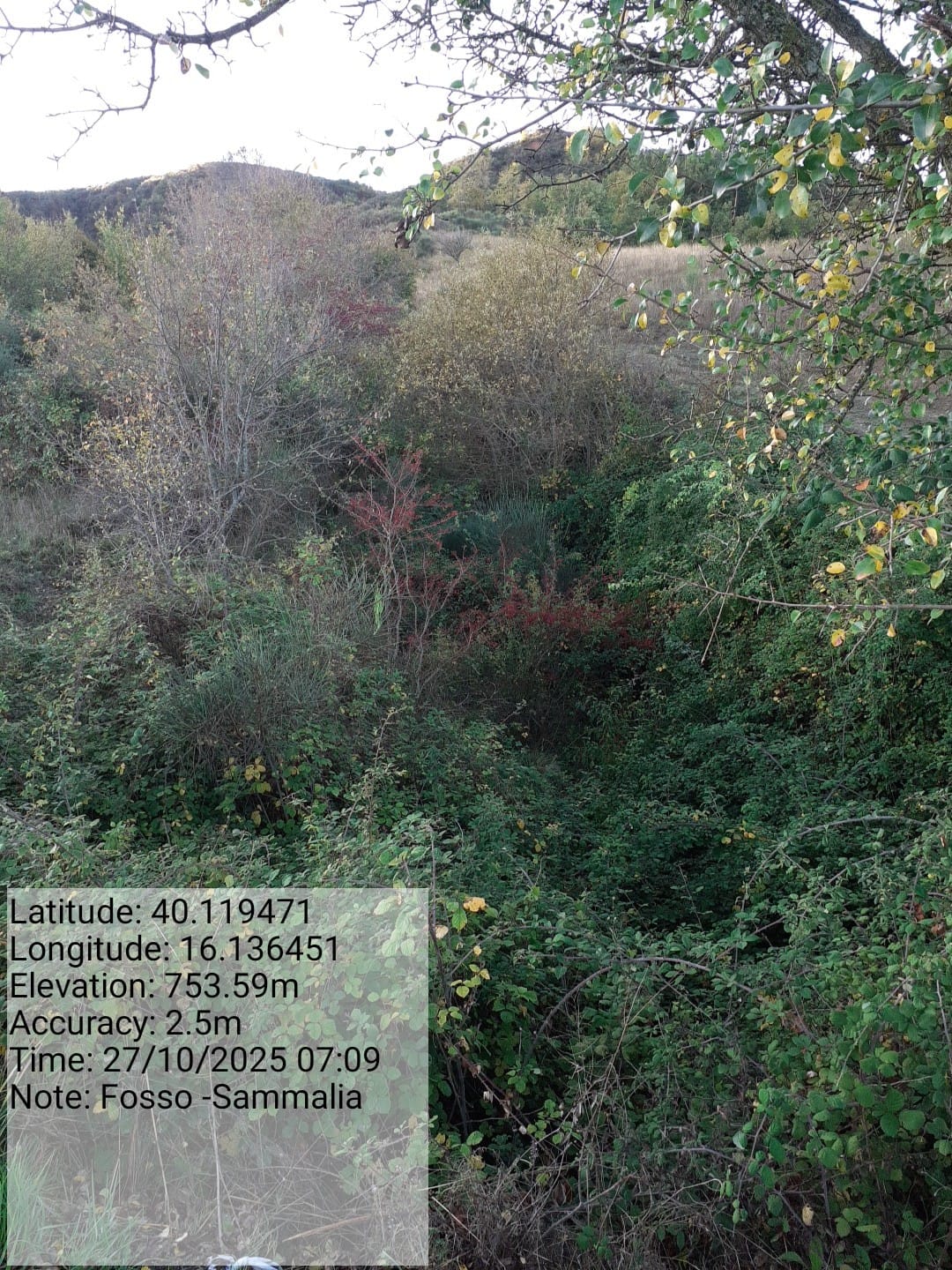 Galleria Fotografica Immagine