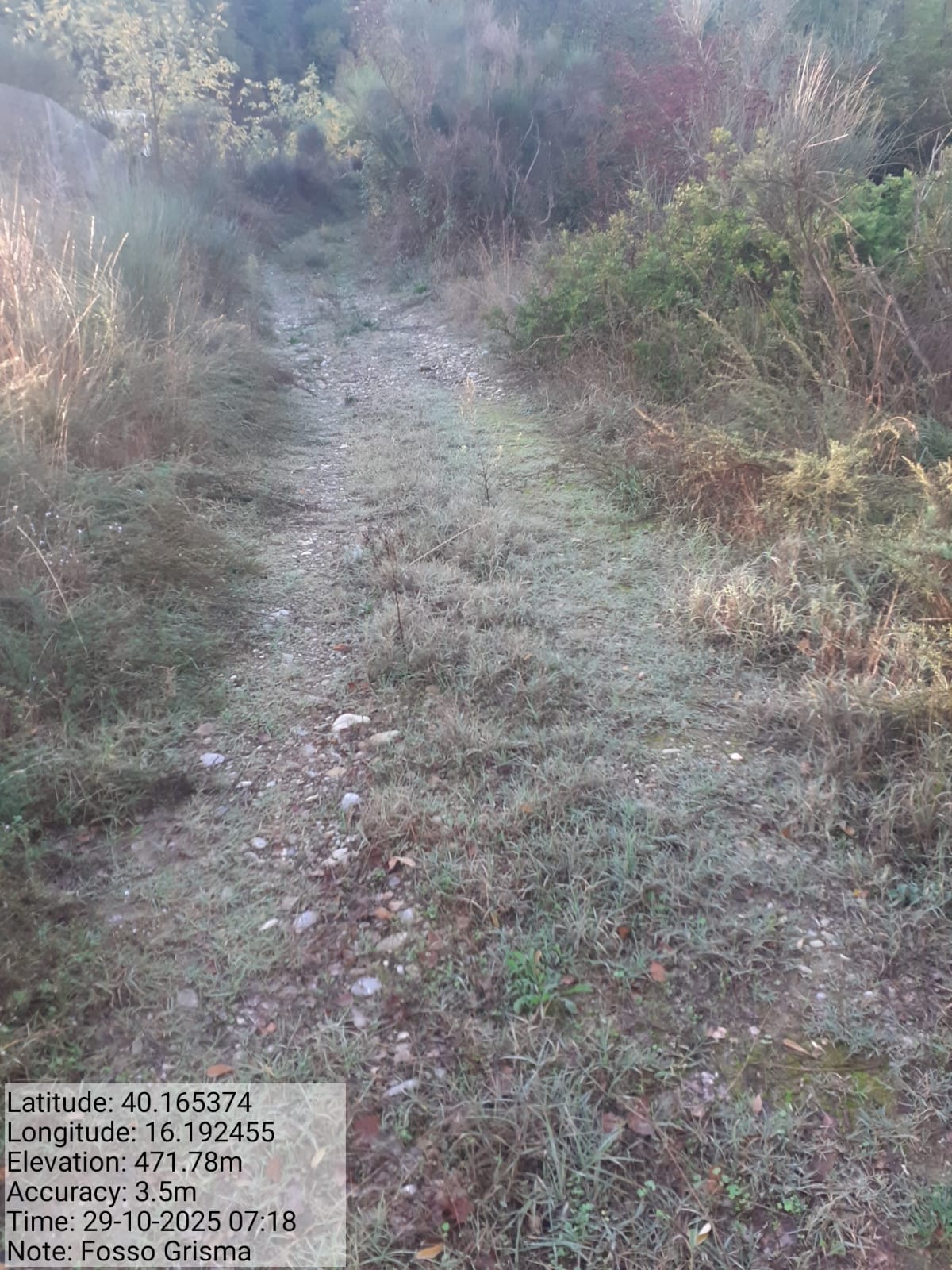 Galleria Fotografica Immagine