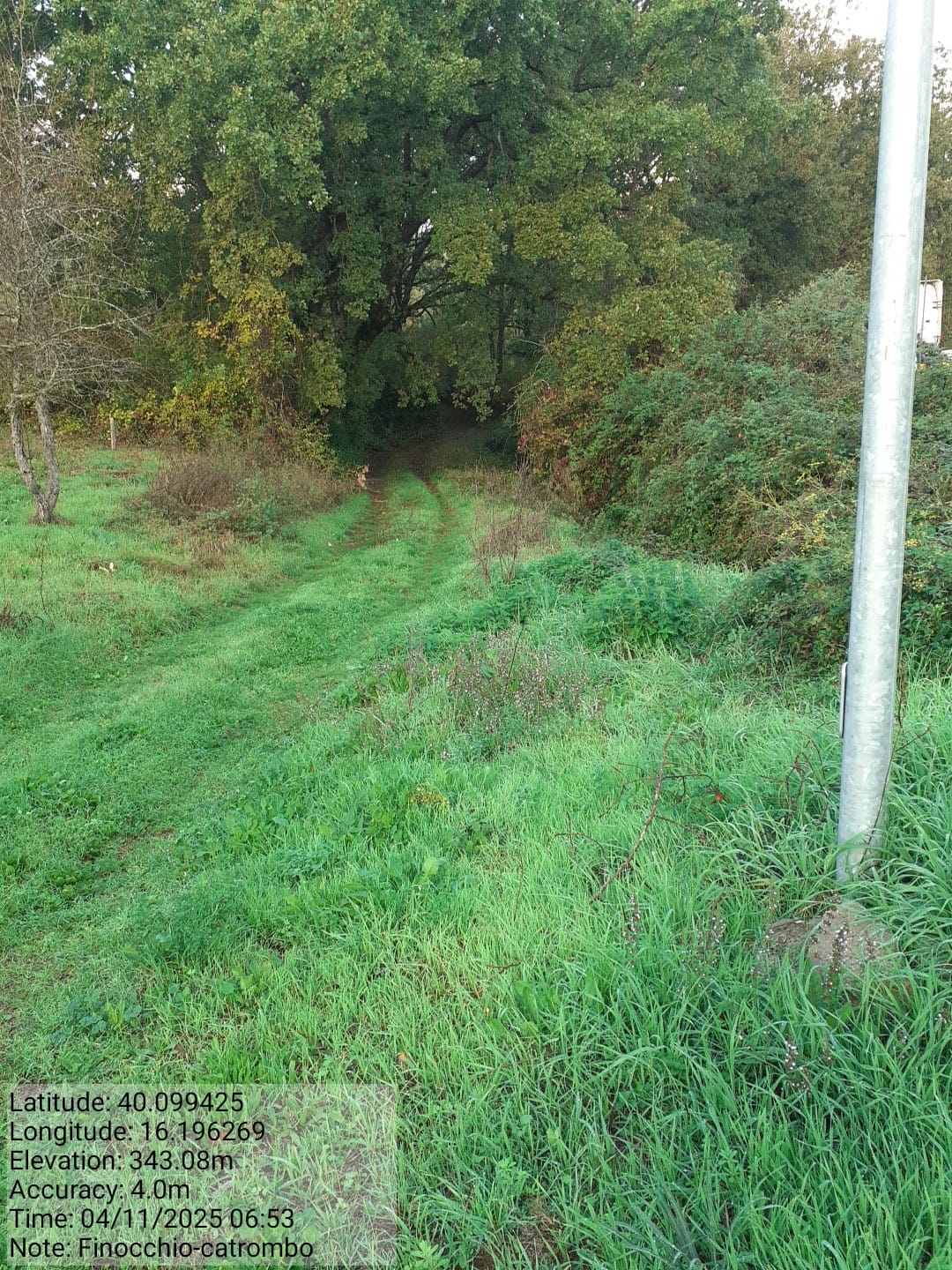 Galleria Fotografica Immagine