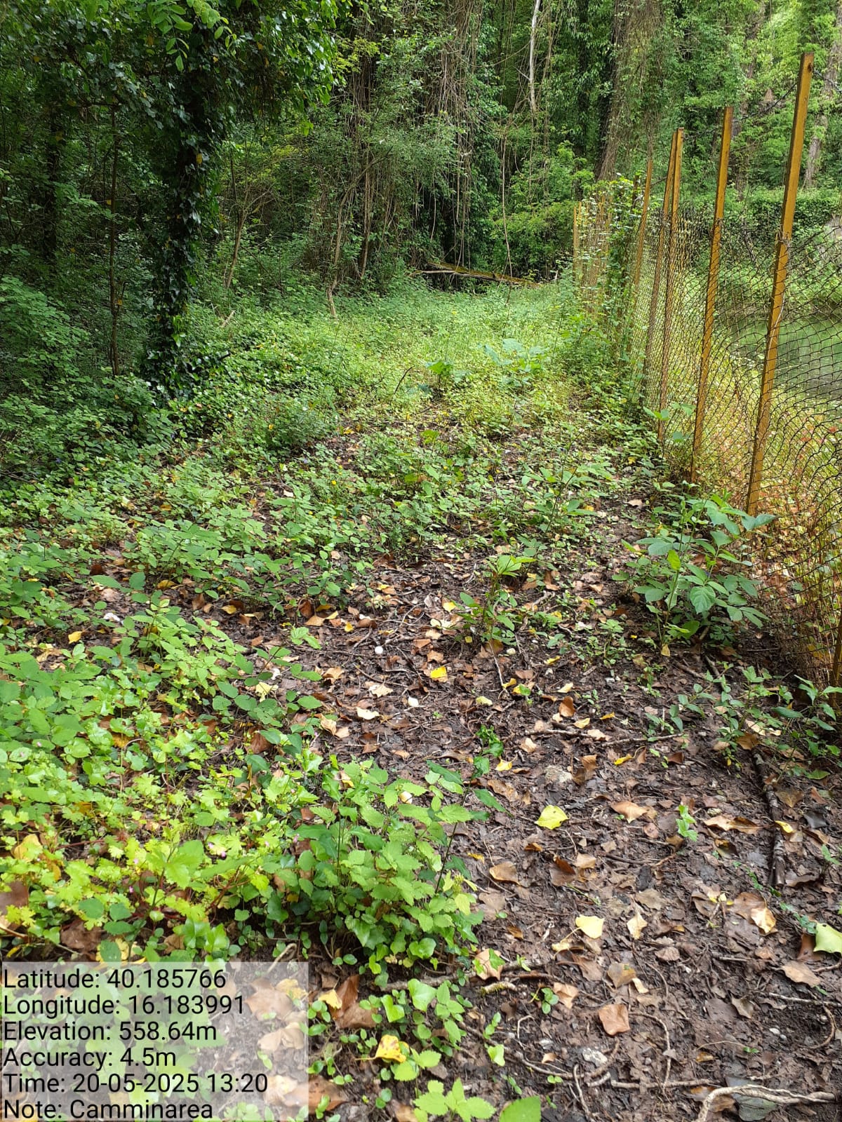 Galleria Fotografica Immagine