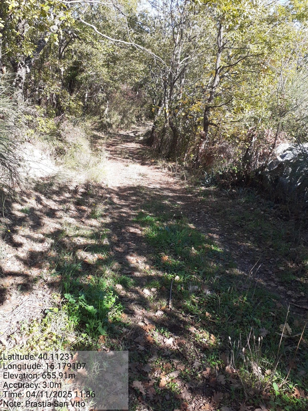 Galleria Fotografica Immagine