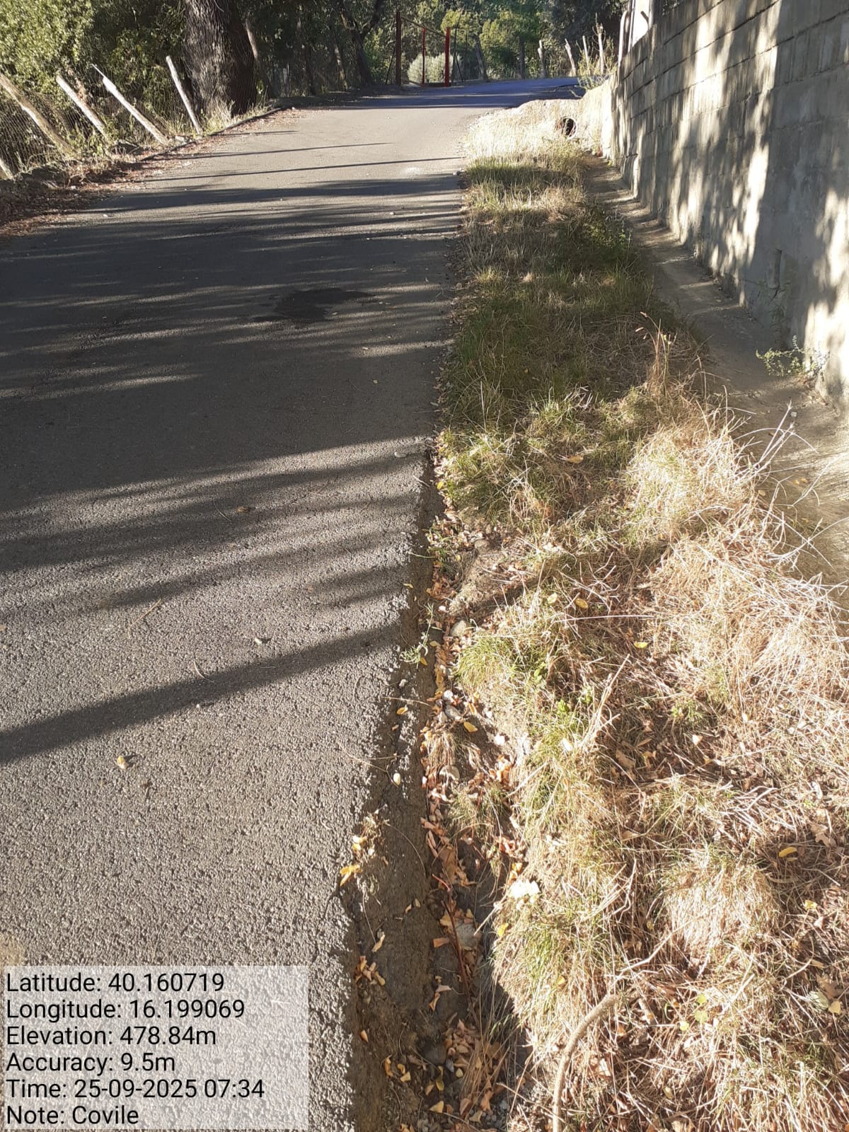 Galleria Fotografica Immagine