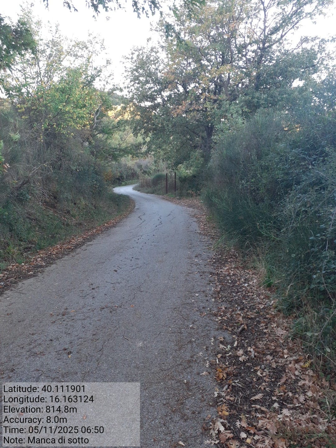 Galleria Fotografica Immagine