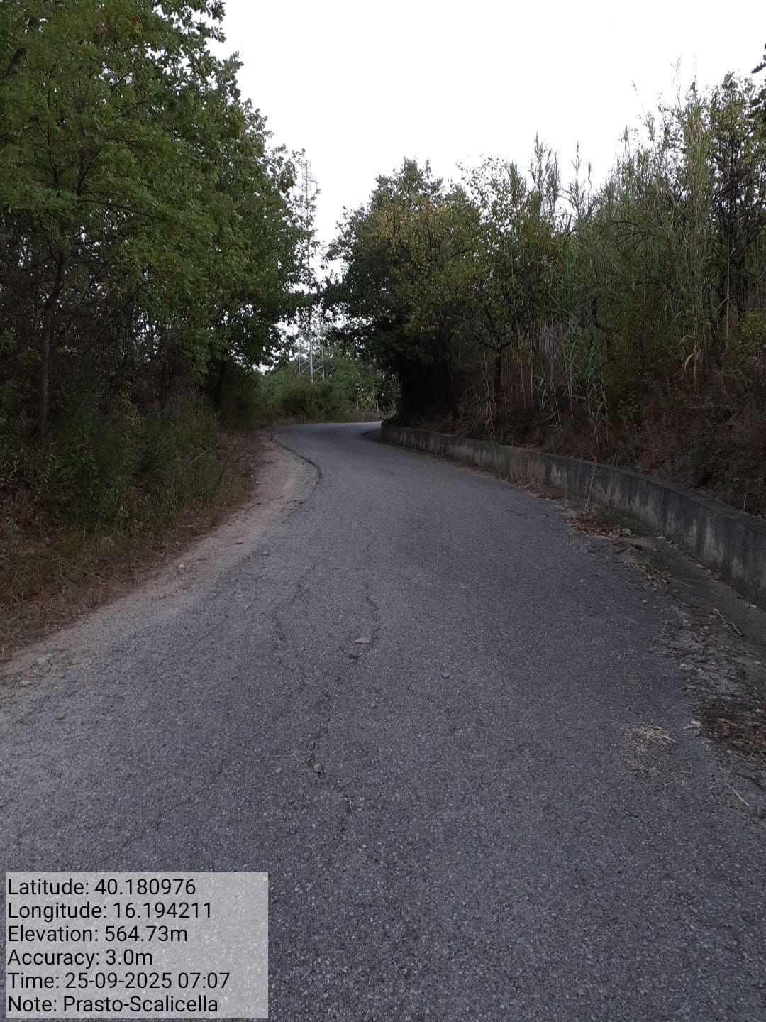 Galleria Fotografica Immagine