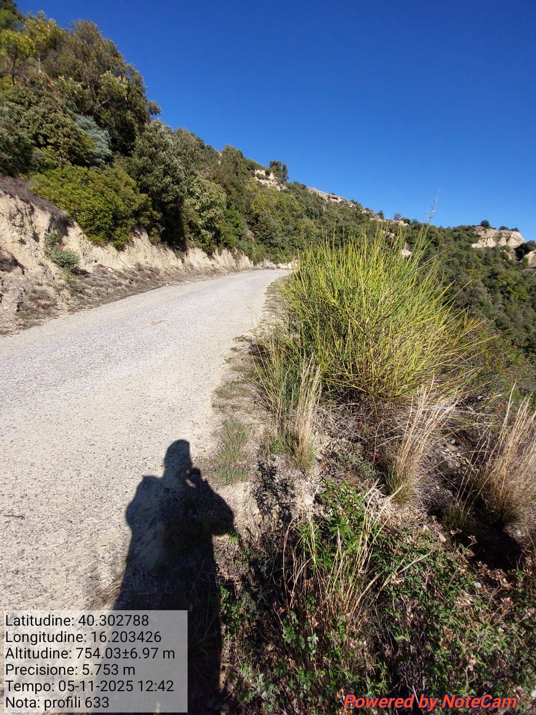 Galleria Fotografica Immagine