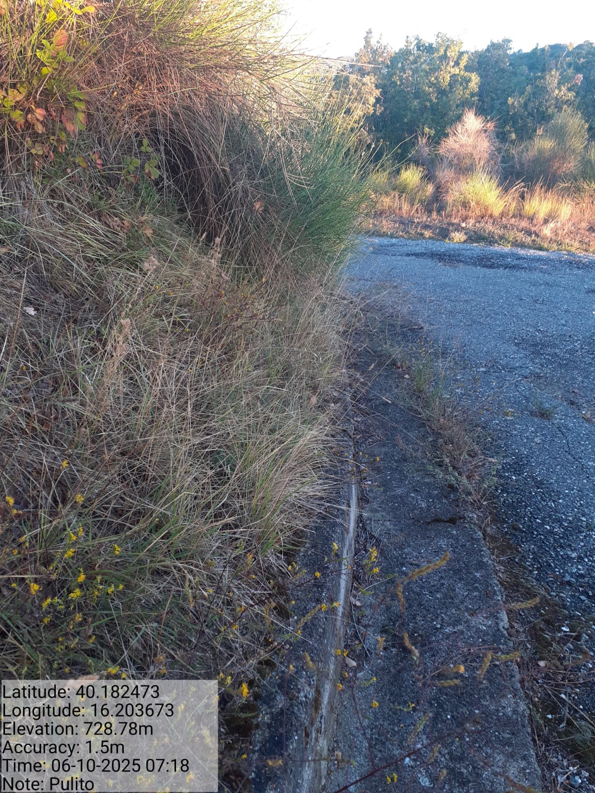 Galleria Fotografica Immagine