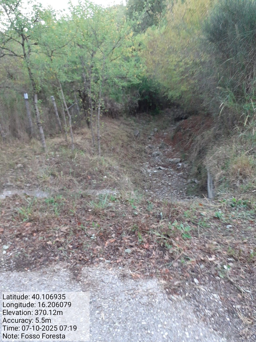 Galleria Fotografica Immagine