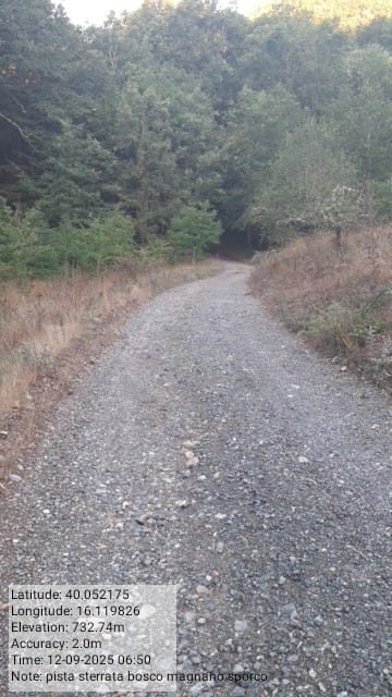 Galleria Fotografica Immagine