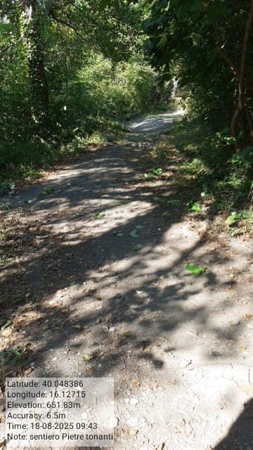 Galleria Fotografica Immagine