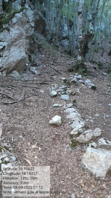 Galleria Fotografica Immagine