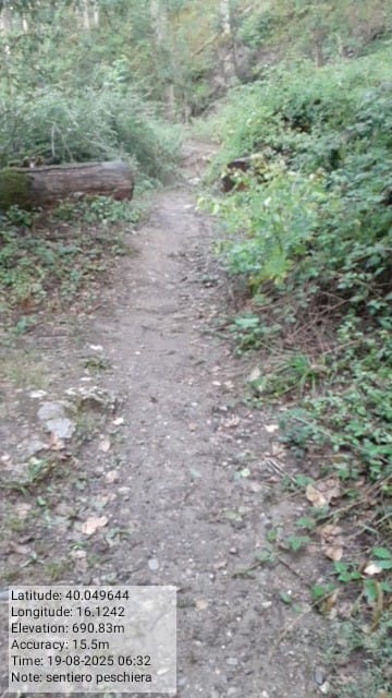 Galleria Fotografica Immagine