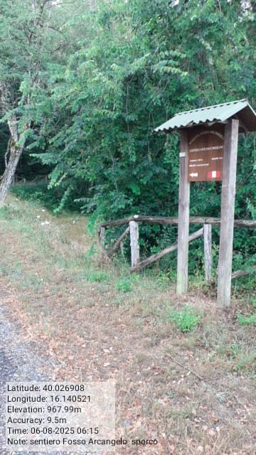 Galleria Fotografica Immagine