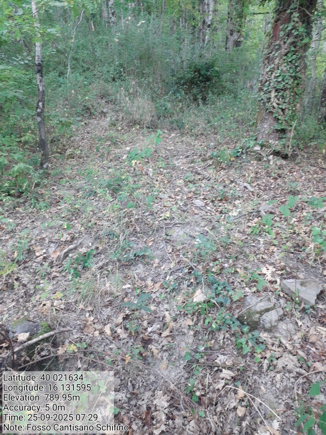 Galleria Fotografica Immagine