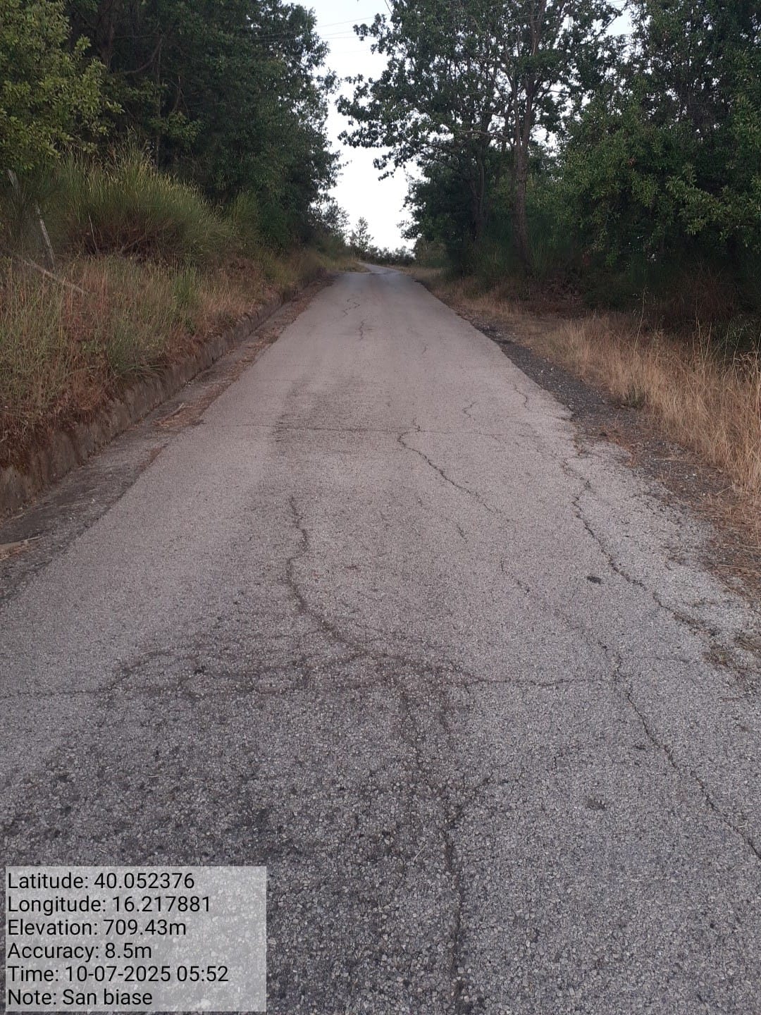 Galleria Fotografica Immagine