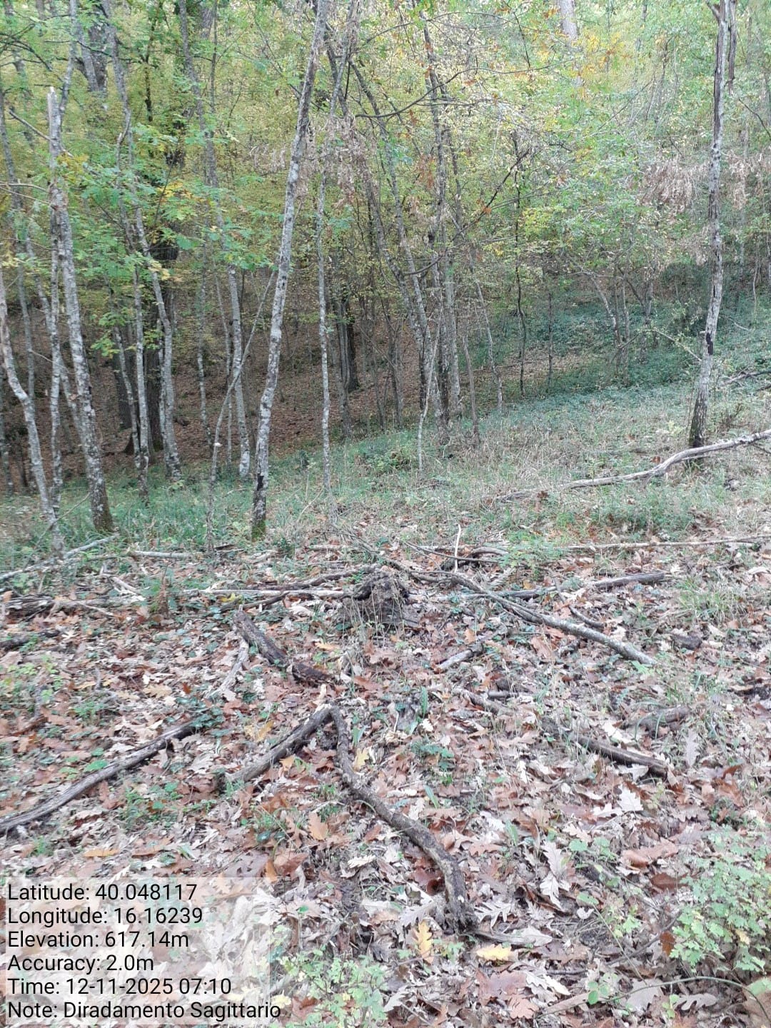 Galleria Fotografica Immagine