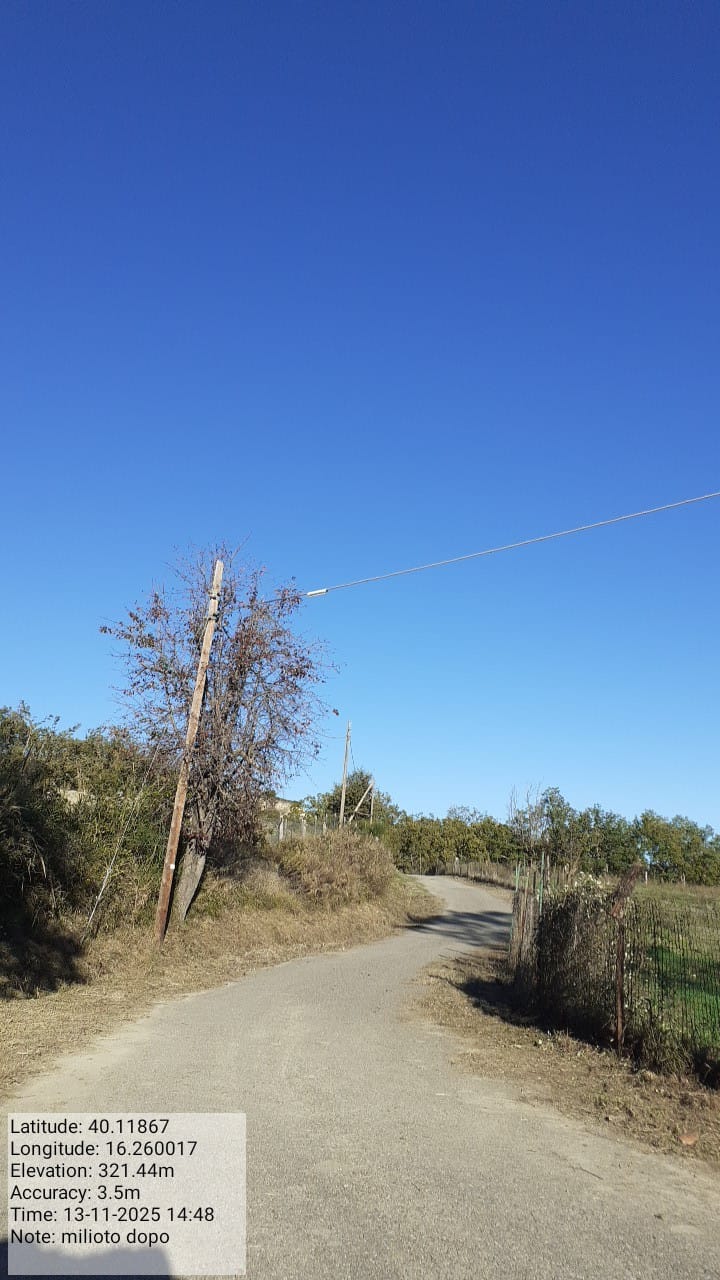 Galleria Fotografica Immagine