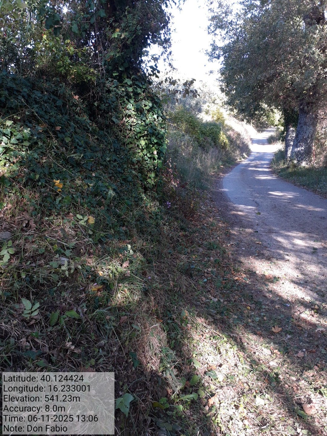 Galleria Fotografica Immagine