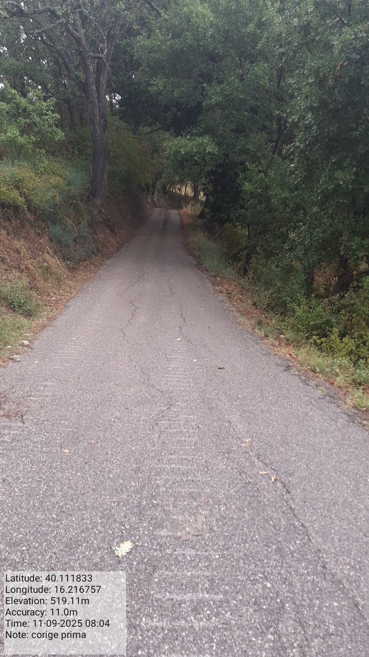 Galleria Fotografica Immagine