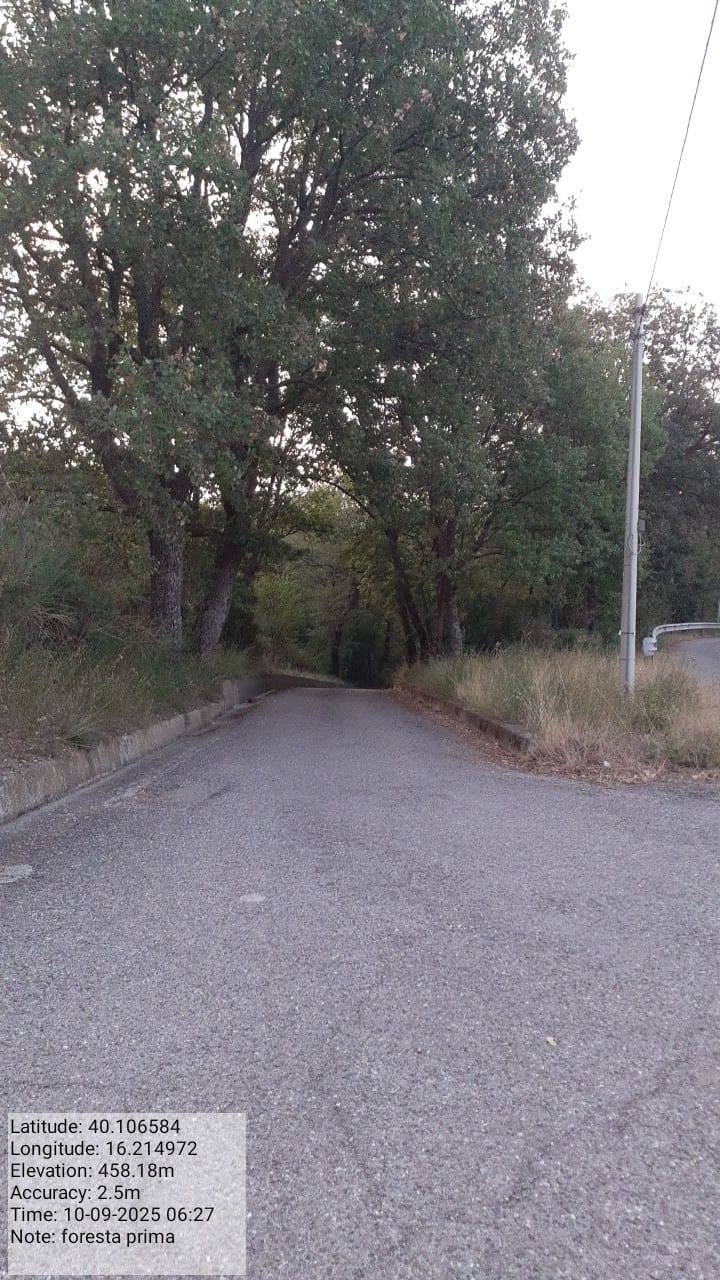 Galleria Fotografica Immagine