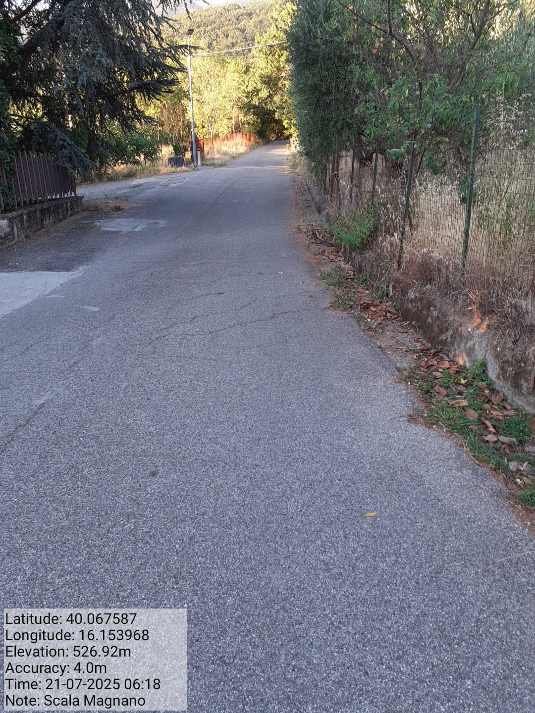 Galleria Fotografica Immagine