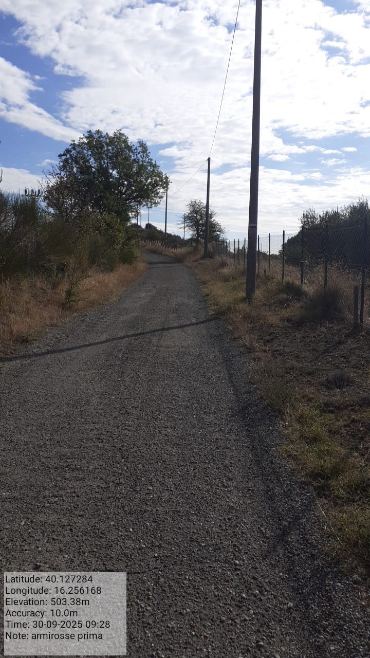 Galleria Fotografica Immagine