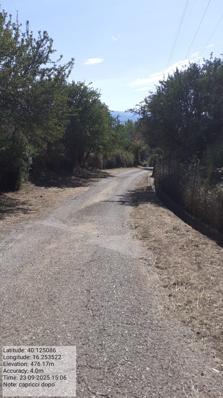 Galleria Fotografica Immagine