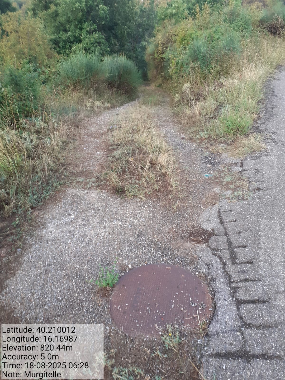 Galleria Fotografica Immagine