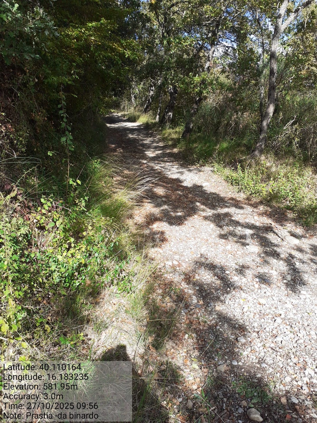 Galleria Fotografica Immagine