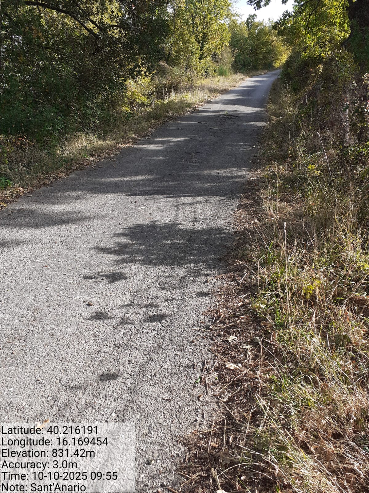 Galleria Fotografica Immagine