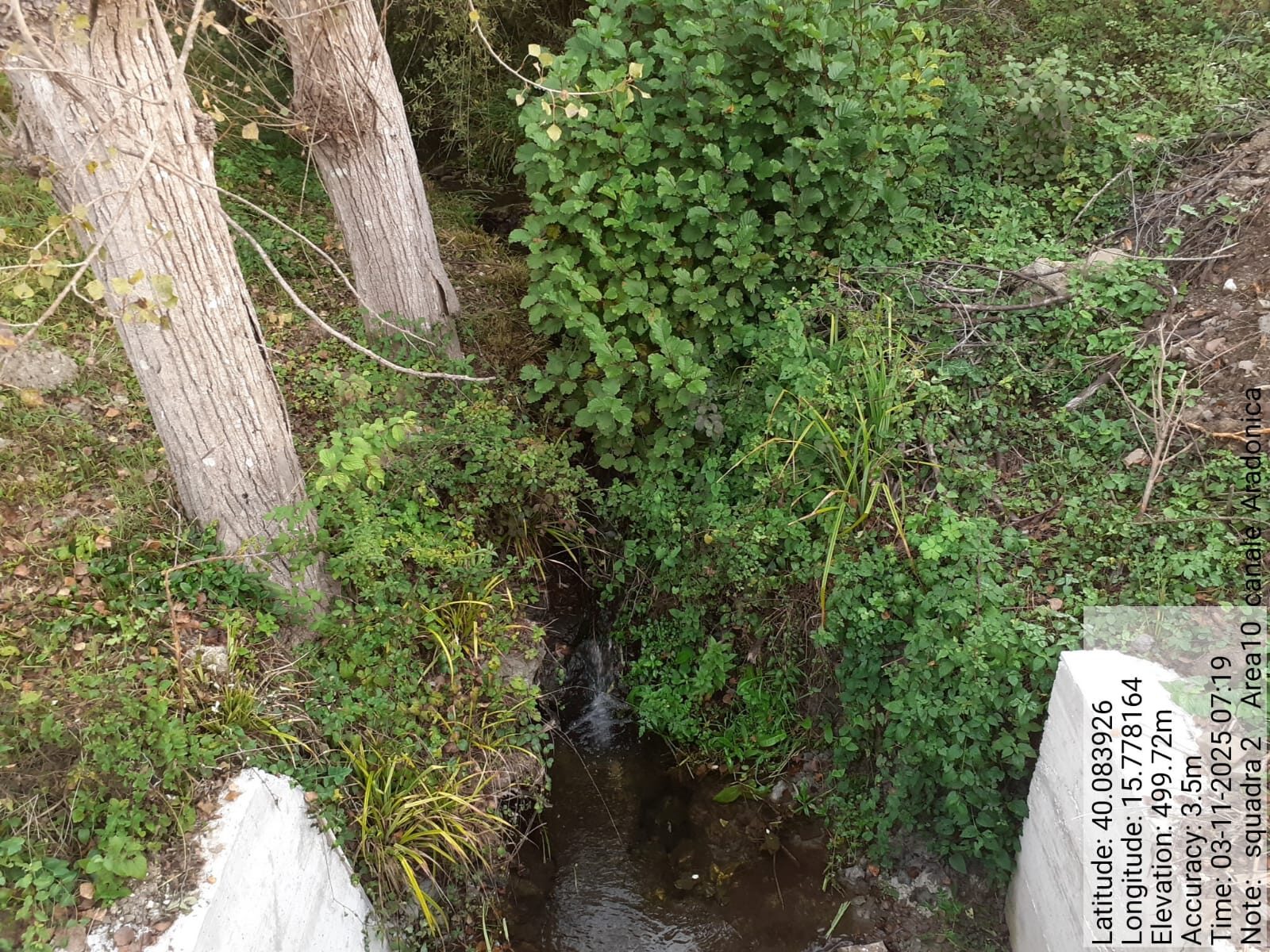 Galleria Fotografica Immagine