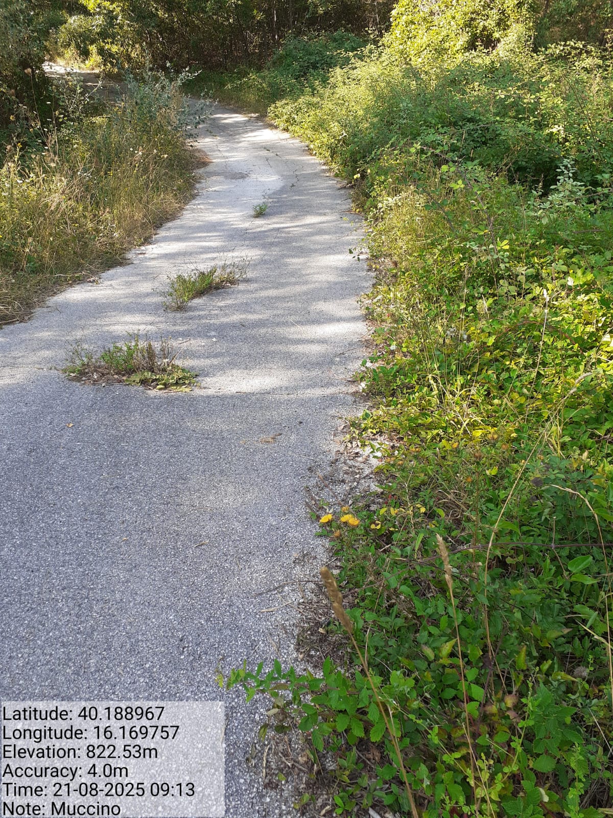 Galleria Fotografica Immagine