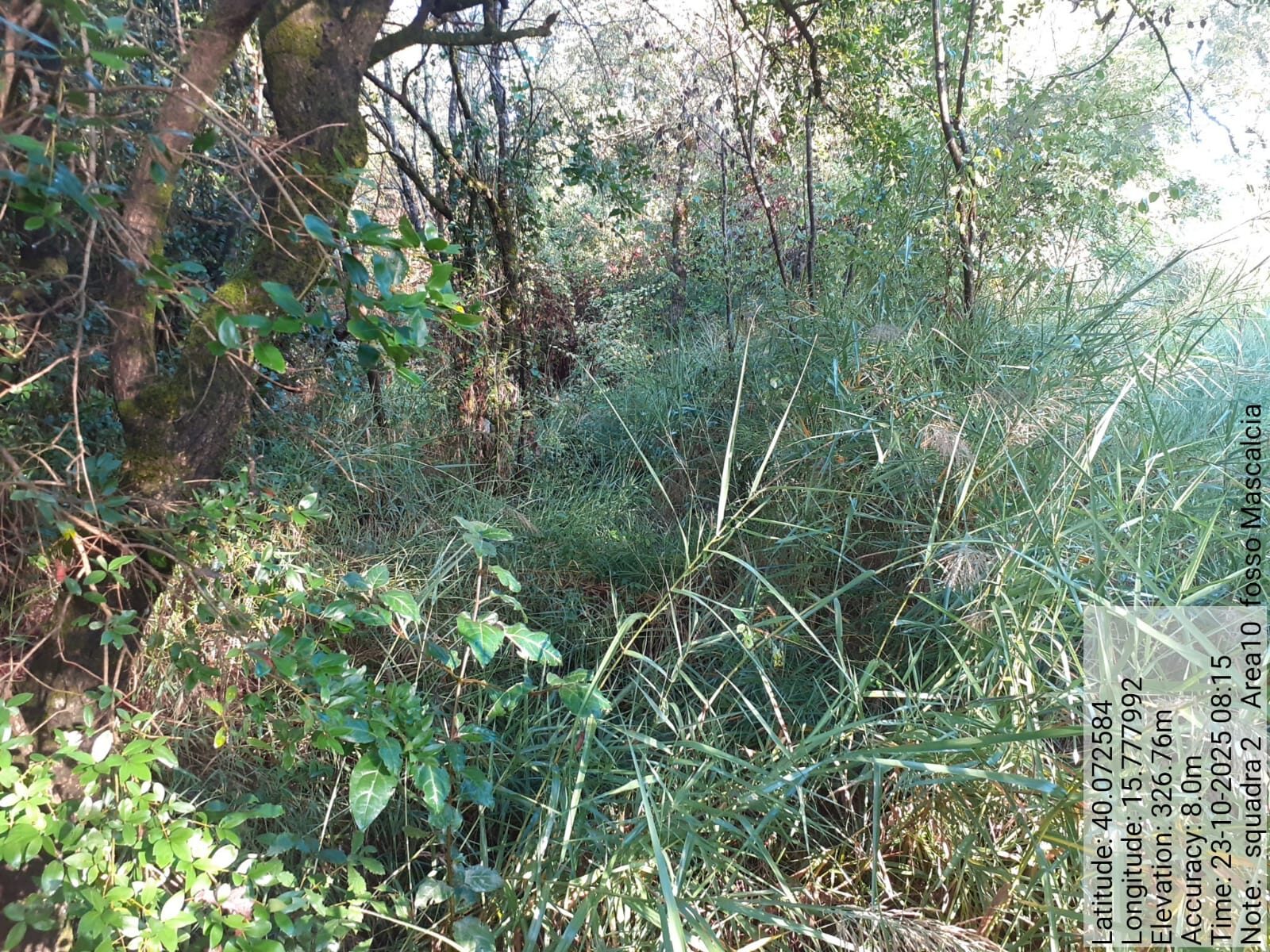 Galleria Fotografica Immagine