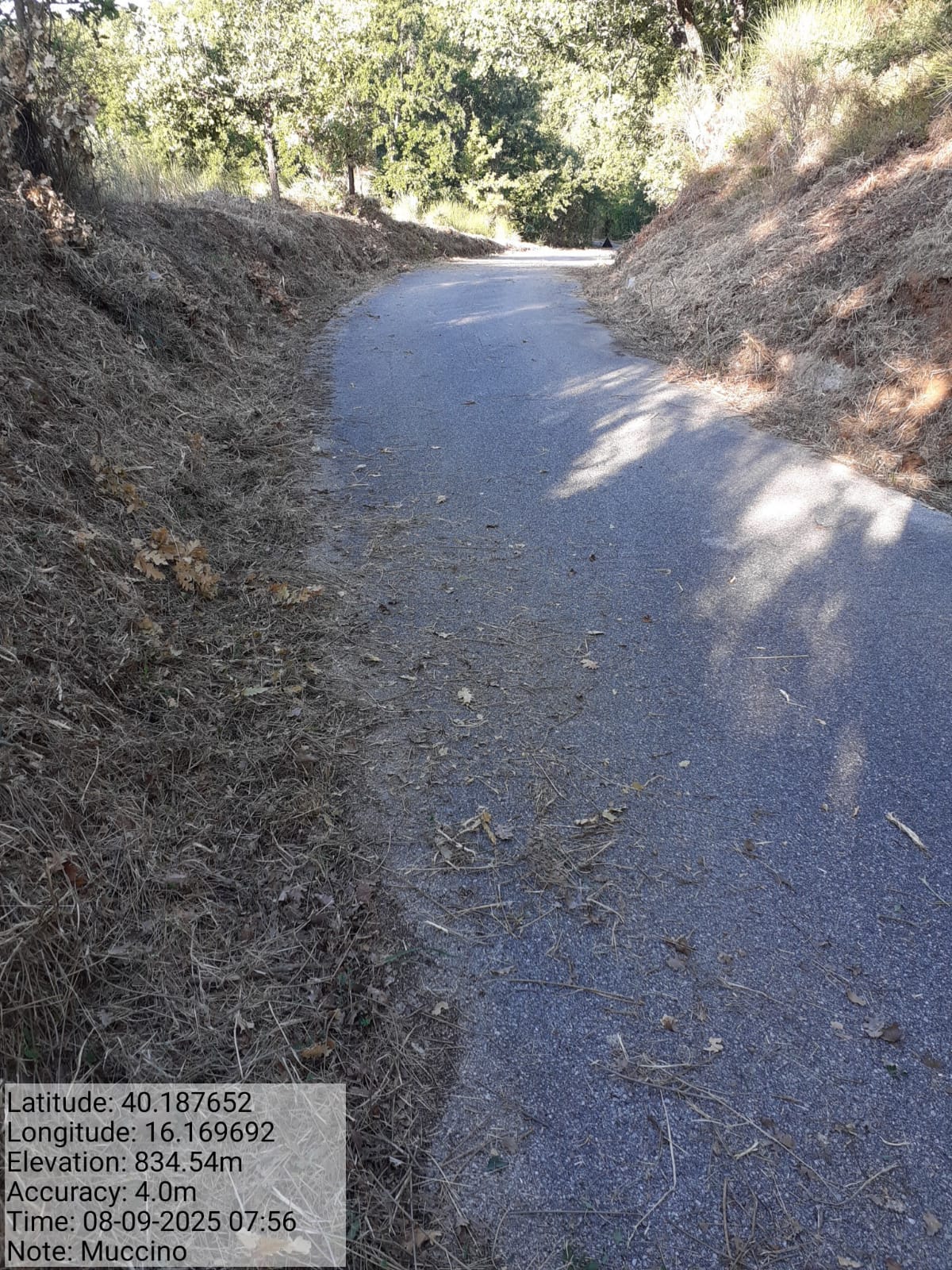 Galleria Fotografica Immagine