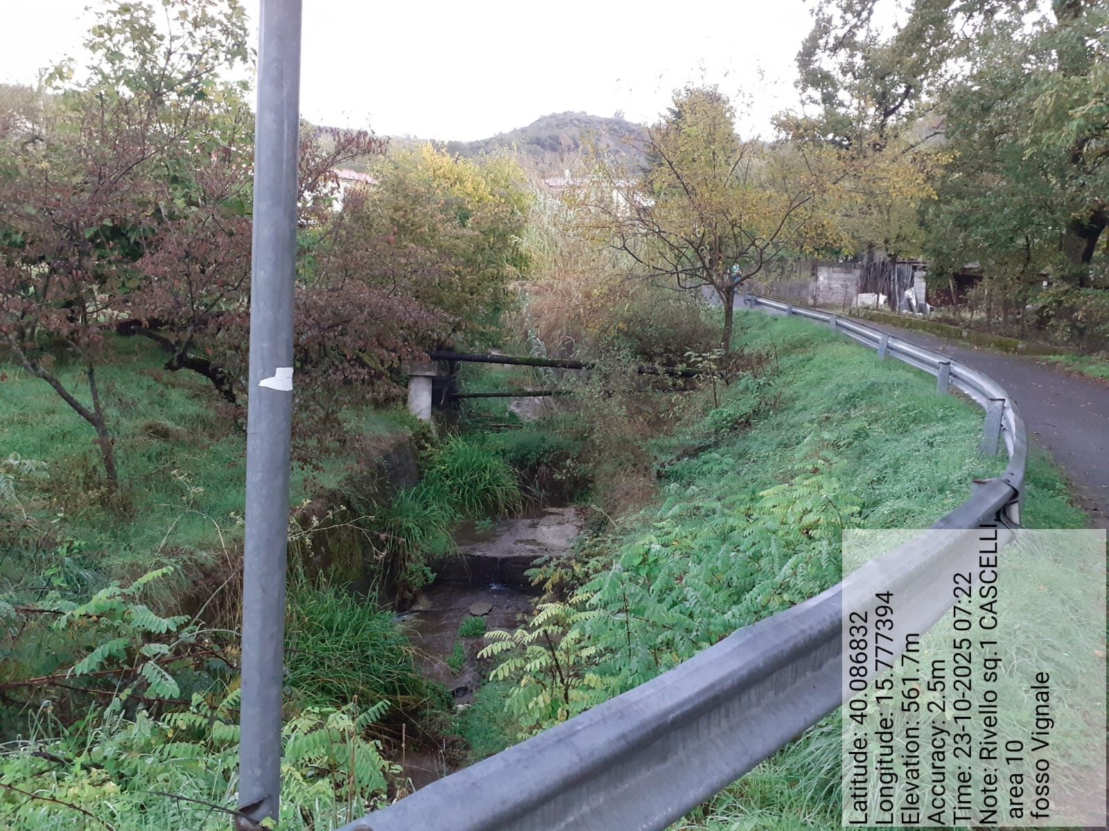 Galleria Fotografica Immagine