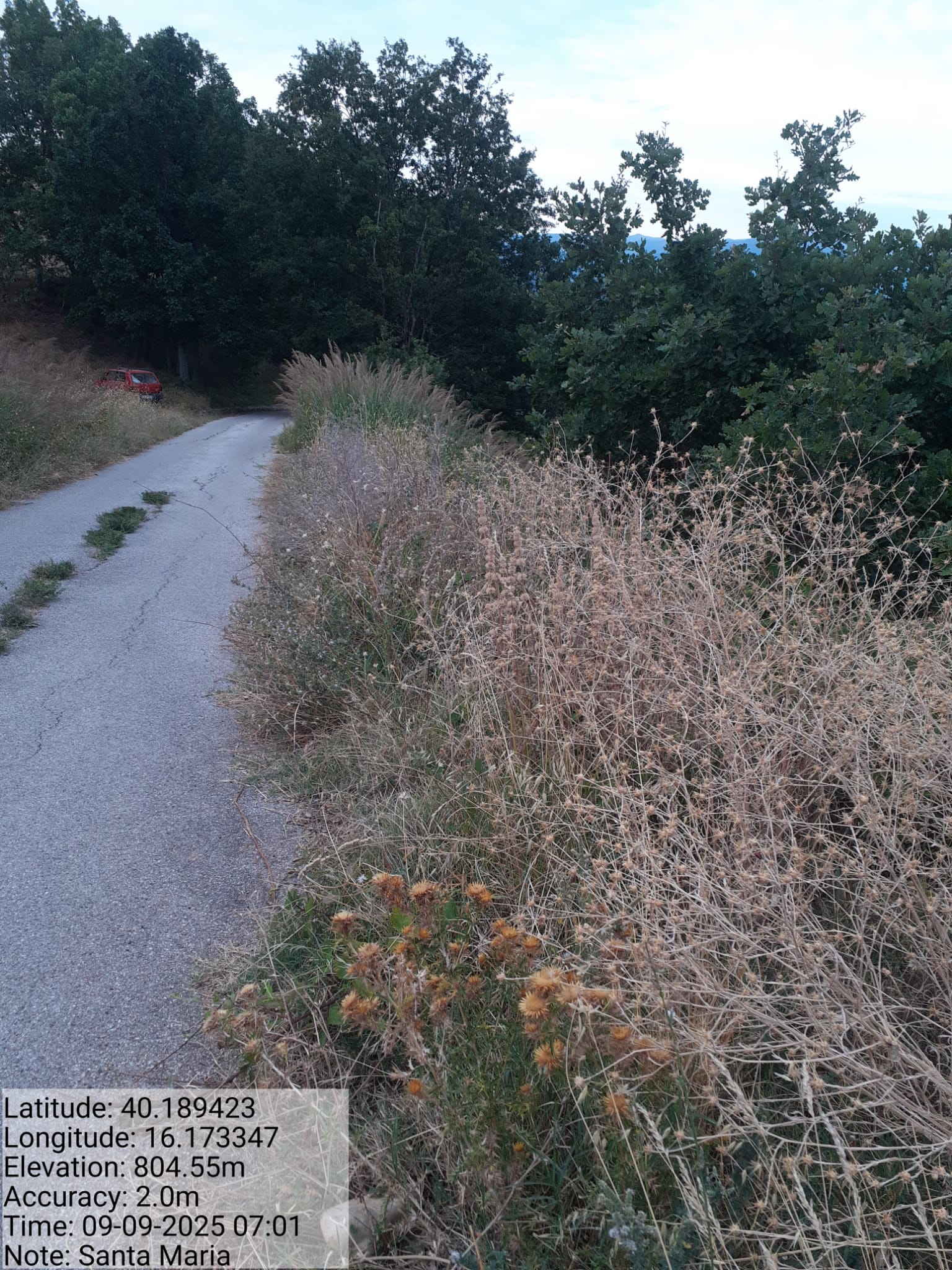 Galleria Fotografica Immagine