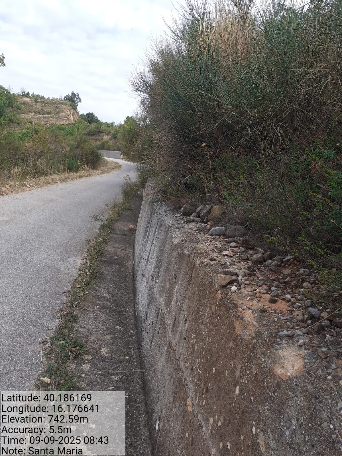 Galleria Fotografica Immagine